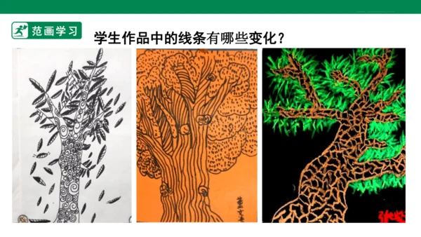 第三课《认识身边的树》课件