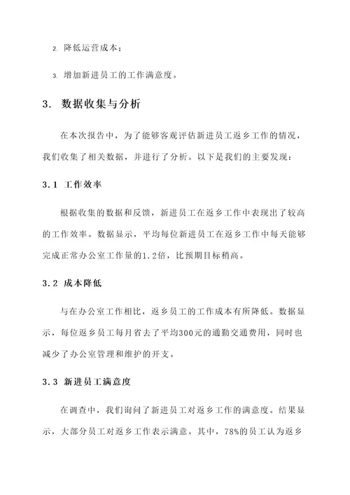 新进员工返乡工作总结报告