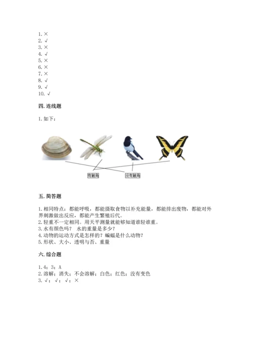 教科版一年级下册科学期末测试卷附答案（实用）.docx