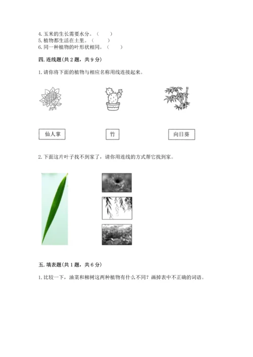 教科版科学一年级上册第一单元《植物》测试卷（b卷）word版.docx