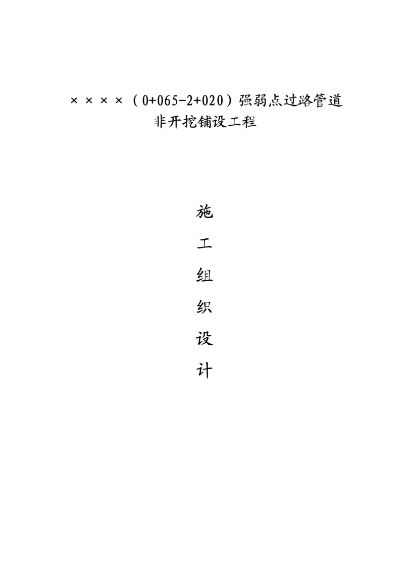 定向非开挖钻孔综合施工专题方案.docx