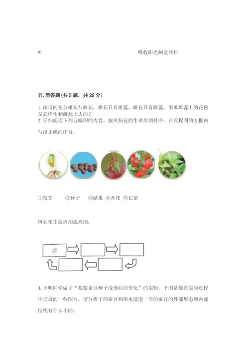 教科版四年级下册科学第一单元《植物的生长变化》测试卷及答案【新】.docx