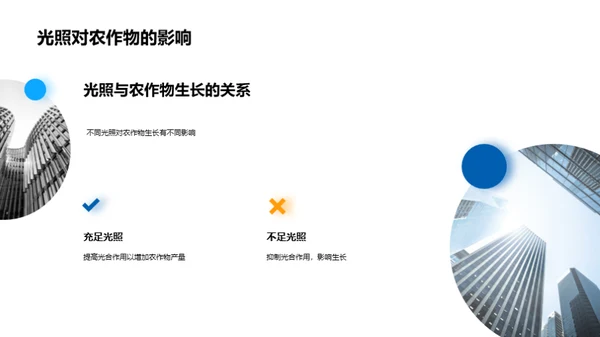 大暑气象与农业