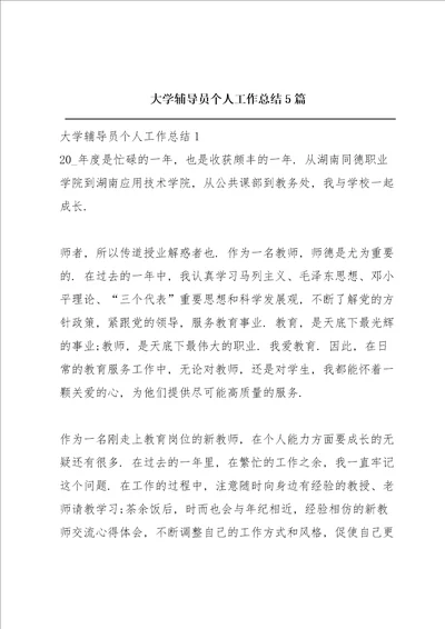 大学辅导员个人工作总结5篇