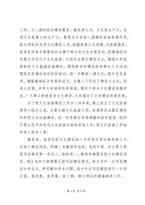 乡镇文化活动经验总结.docx