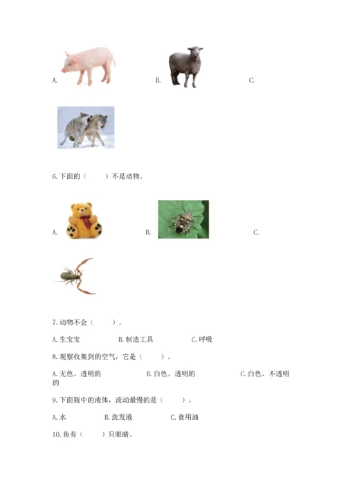 教科版一年级下册科学期末测试卷及答案（精品）.docx