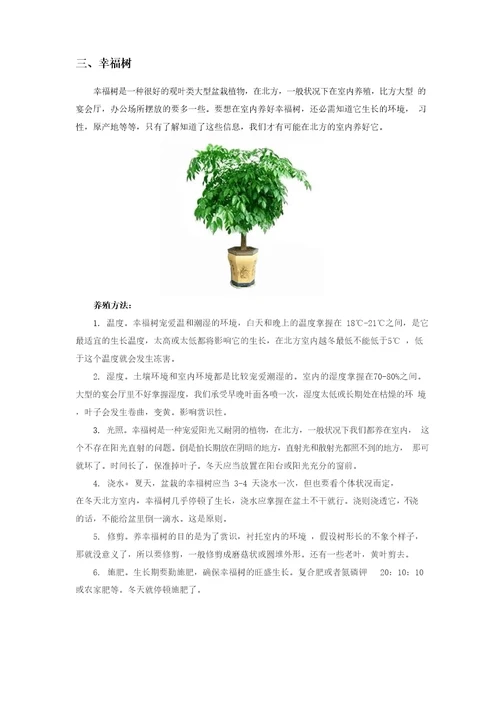 办公室花草养护方法