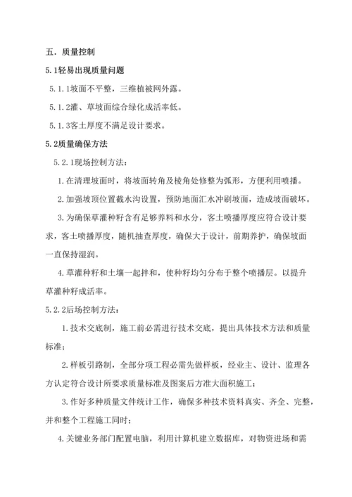 三维网喷播植草关键技术专项方案绿化专项方案.docx