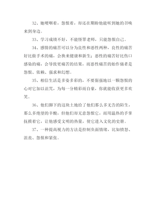 怨恨近反义词.docx