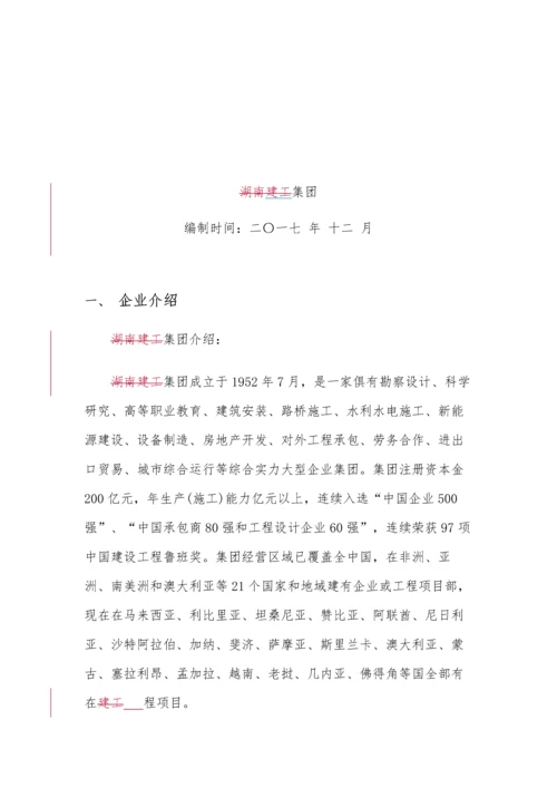 PPP综合项目融资专项方案案例.docx