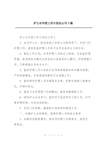 护士长年度工作计划怎么写5篇.docx