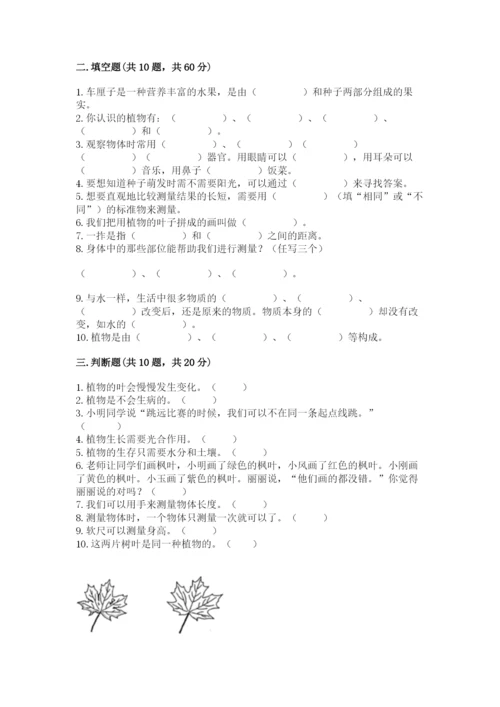 教科版一年级上册科学期末测试卷精品（巩固）.docx