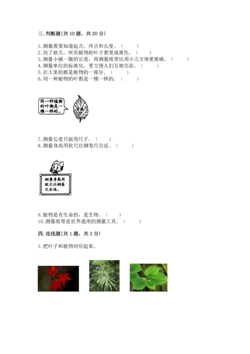 教科版小学一年级上册科学期末测试卷审定版.docx