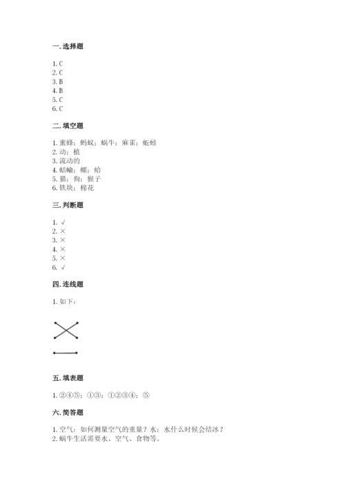 教科版一年级下册科学期末测试卷【精练】.docx