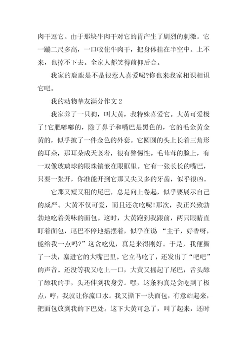 最新我的动物朋友满分作文