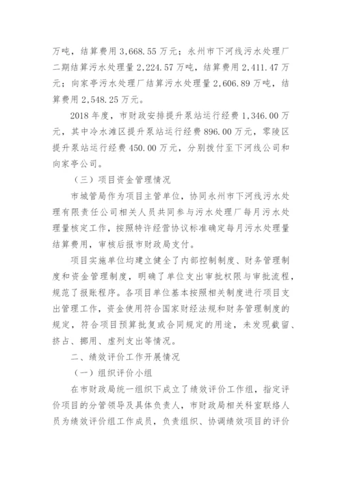 污水处理项目绩效评价报告.docx