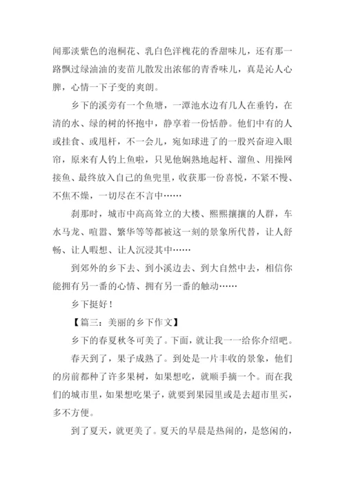 美丽的乡下作文.docx