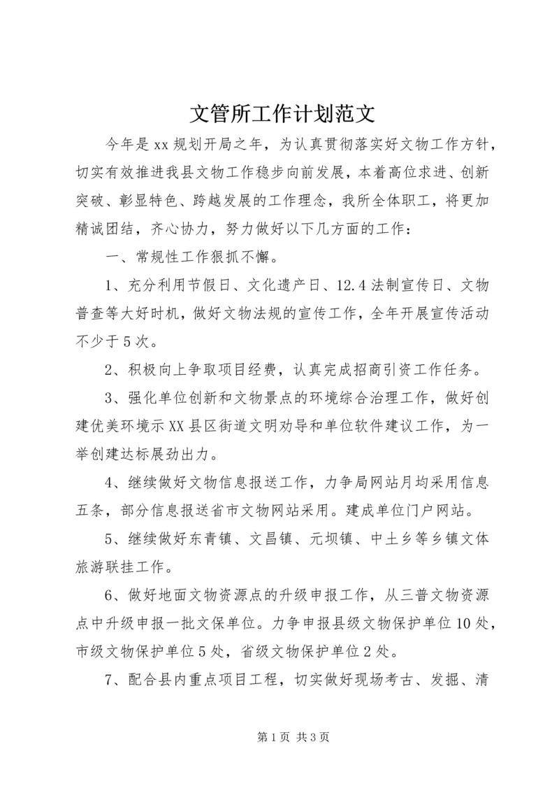 文管所工作计划范文.docx