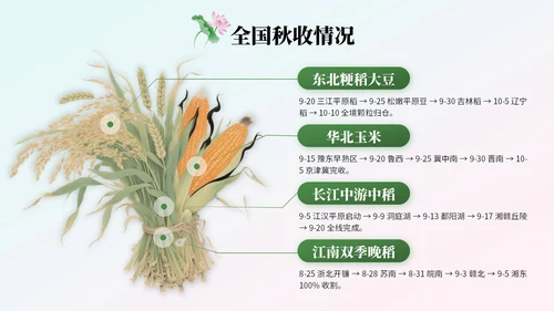 绿色中国风处暑节气知识讲座
