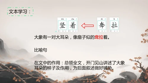 19大象的耳朵  课件