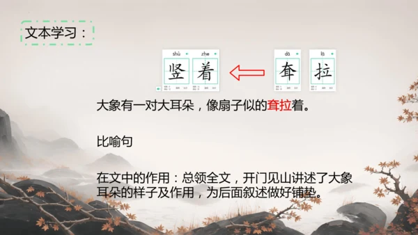 19大象的耳朵  课件