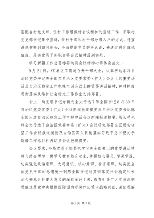 学习新疆工作总目标再动员会议精神心得体会5篇.docx