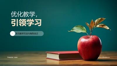 优化教学，引领学习