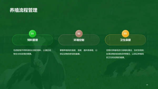 绿色现代养殖流程管理与疾病预防PPT模板