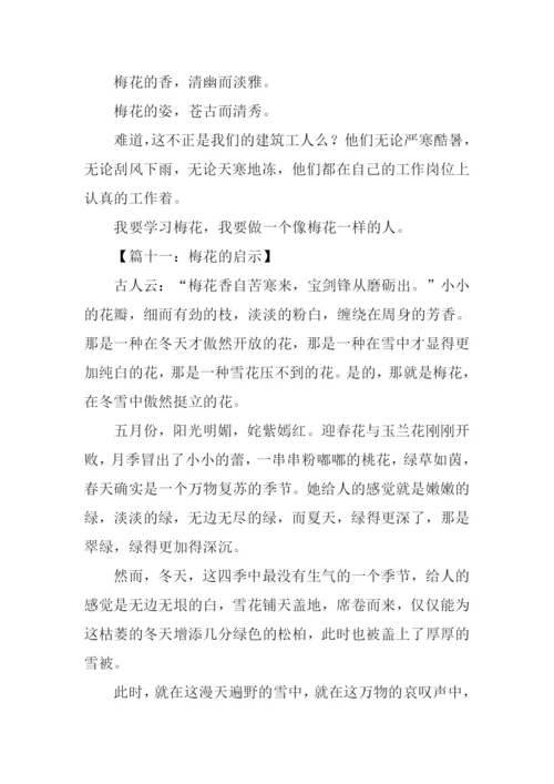 梅花的启示作文.docx