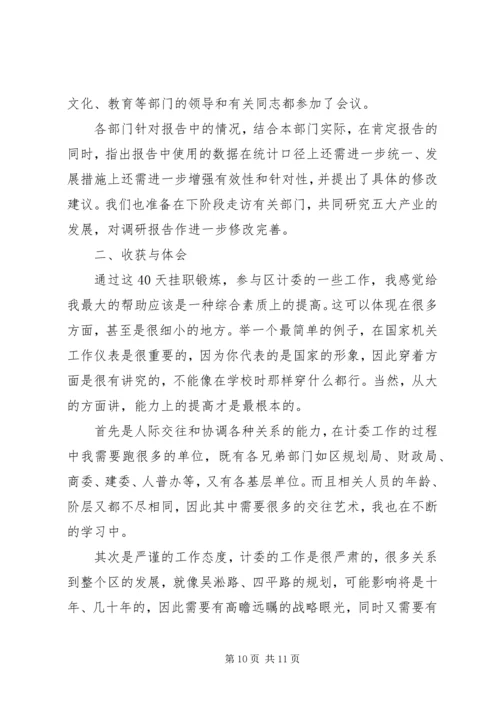 挂职锻炼工作总结【挂职锻炼年终工作总结和工作计划】.docx