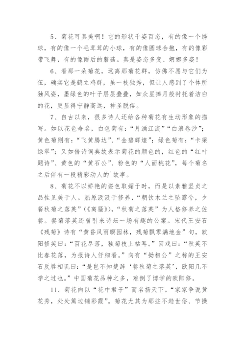 描写菊花的好词好句摘抄.docx