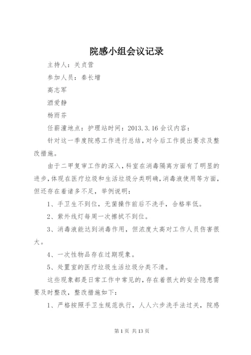 院感小组会议记录.docx