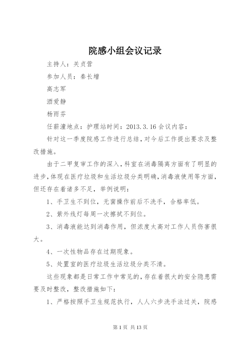 院感小组会议记录.docx