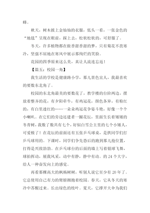小学四年级校园一角.docx
