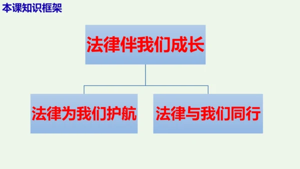 第十课  法律伴我们成长 复习精品课件（26张ppt）