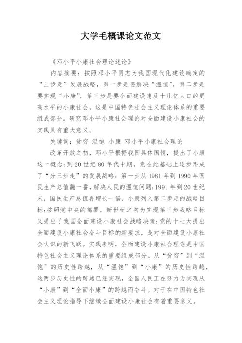 大学毛概课论文范文.docx