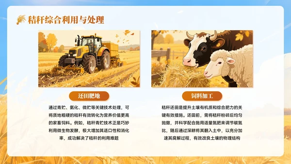 黄色插画风秋分农事农业培训PPT模板