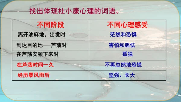 17《孤独之旅》课件