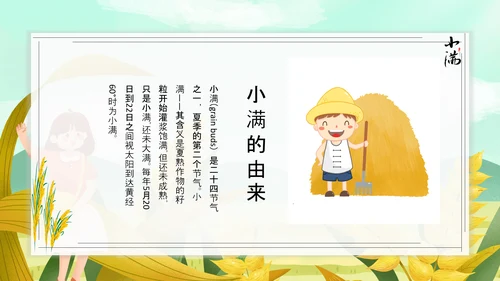 食粮丰收麦穗小满PPT模板