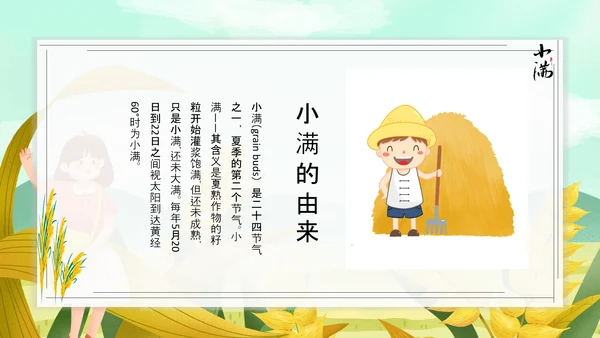 食粮丰收麦穗小满PPT模板