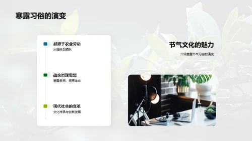 寒露节气文化探寻