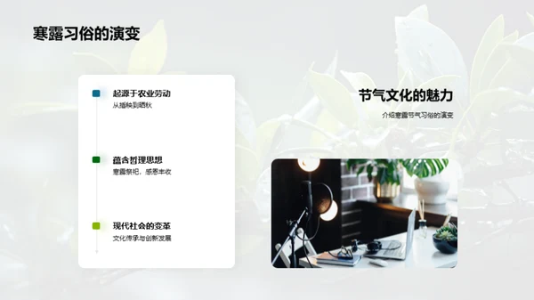 寒露节气文化探寻