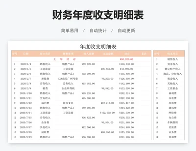 财务年度收支明细表