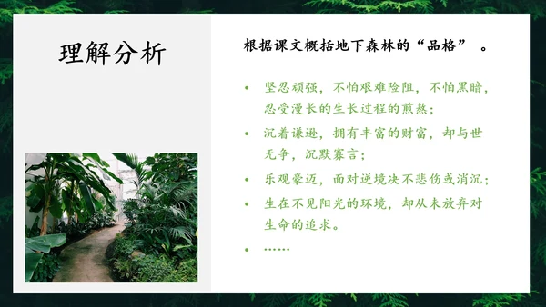 地下森林作家张抗抗作品解读PPT课件