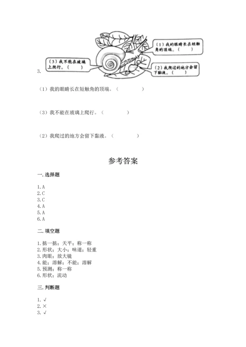 教科版一年级下册科学期末测试卷含完整答案【易错题】.docx