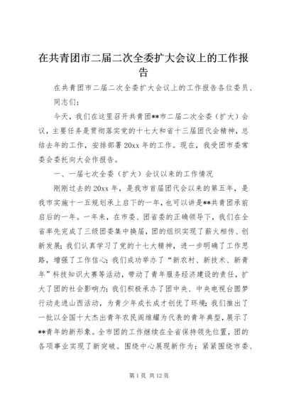 在共青团市二届二次全委扩大会议上的工作报告 (2).docx
