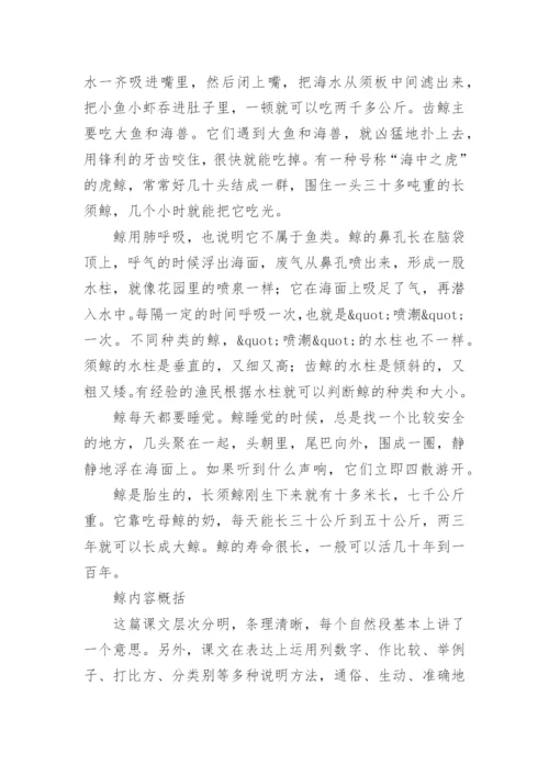 《鲸》课文原文.docx