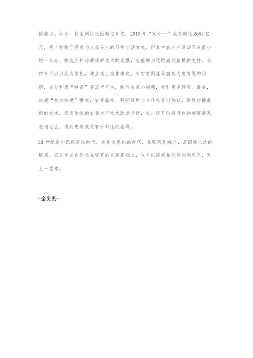 关于互联网+背景下农民专业合作社绩效问题的探讨.docx