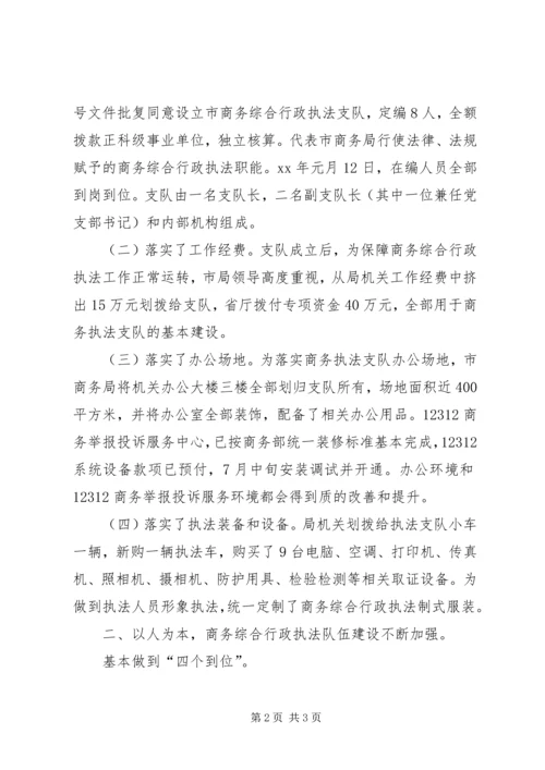 商务综合行政执法支队工作汇报材料 (3).docx