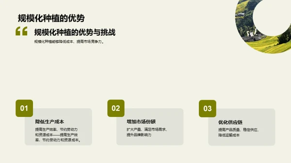 智慧农业：种植新革命